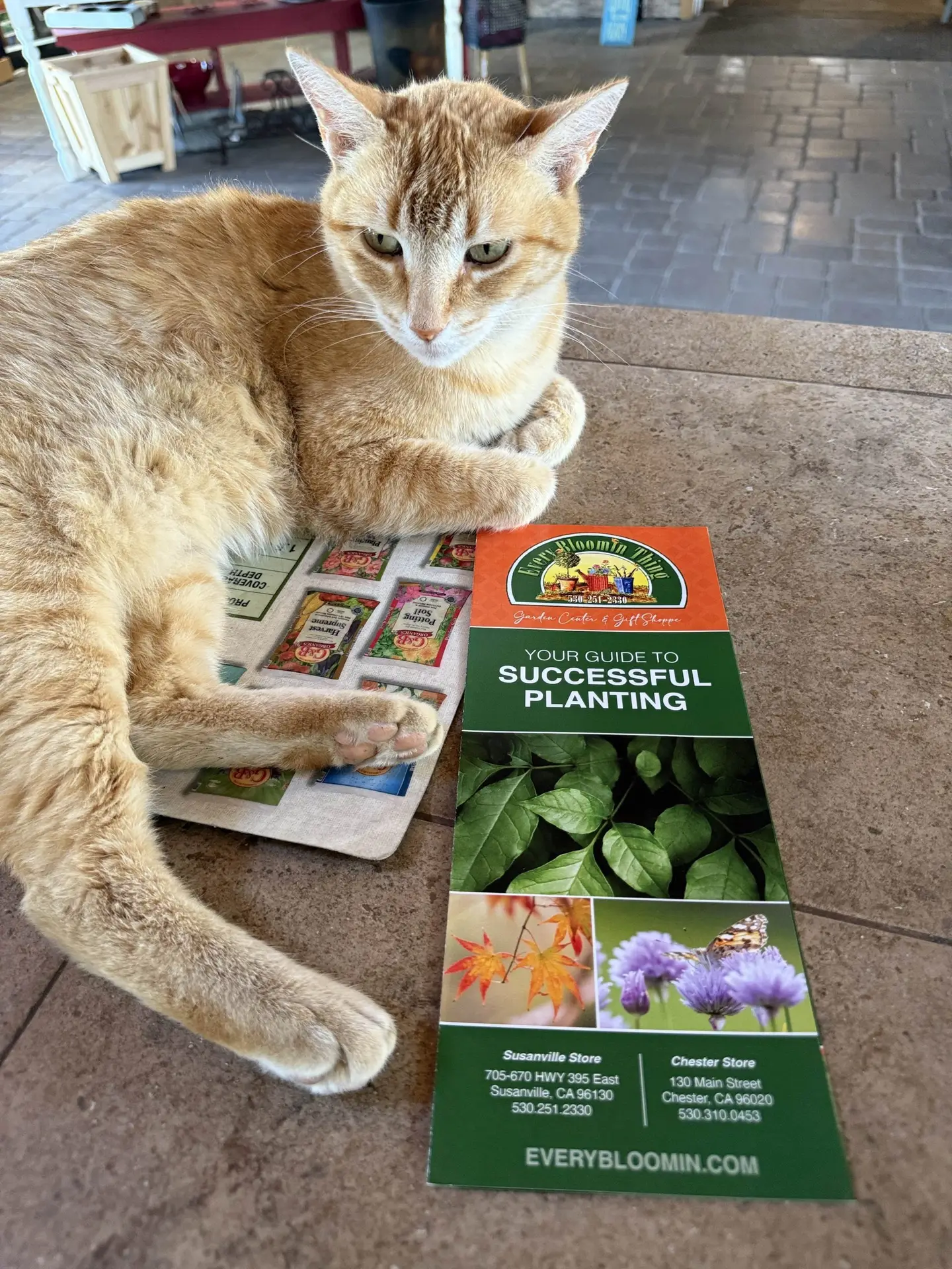 Garden Classes & Workshops