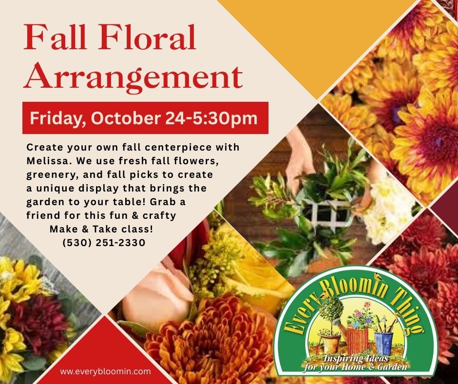 Fall Floral Arrangement with Melissa