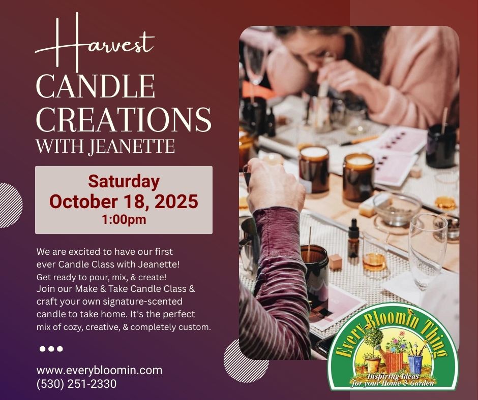 Candle Creations with Jeanette
