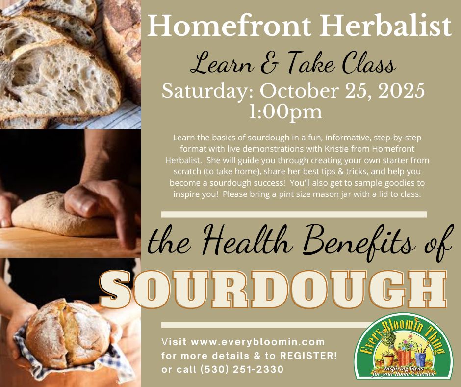 Sourdough Basics with Kristie