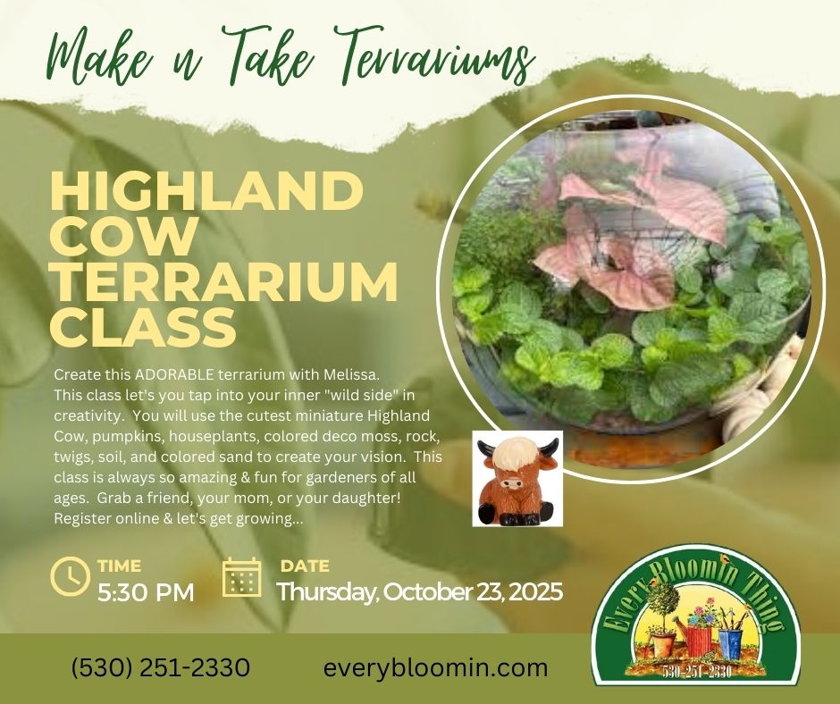Make-n-Take: Highland Cow Terrarium with Melissa