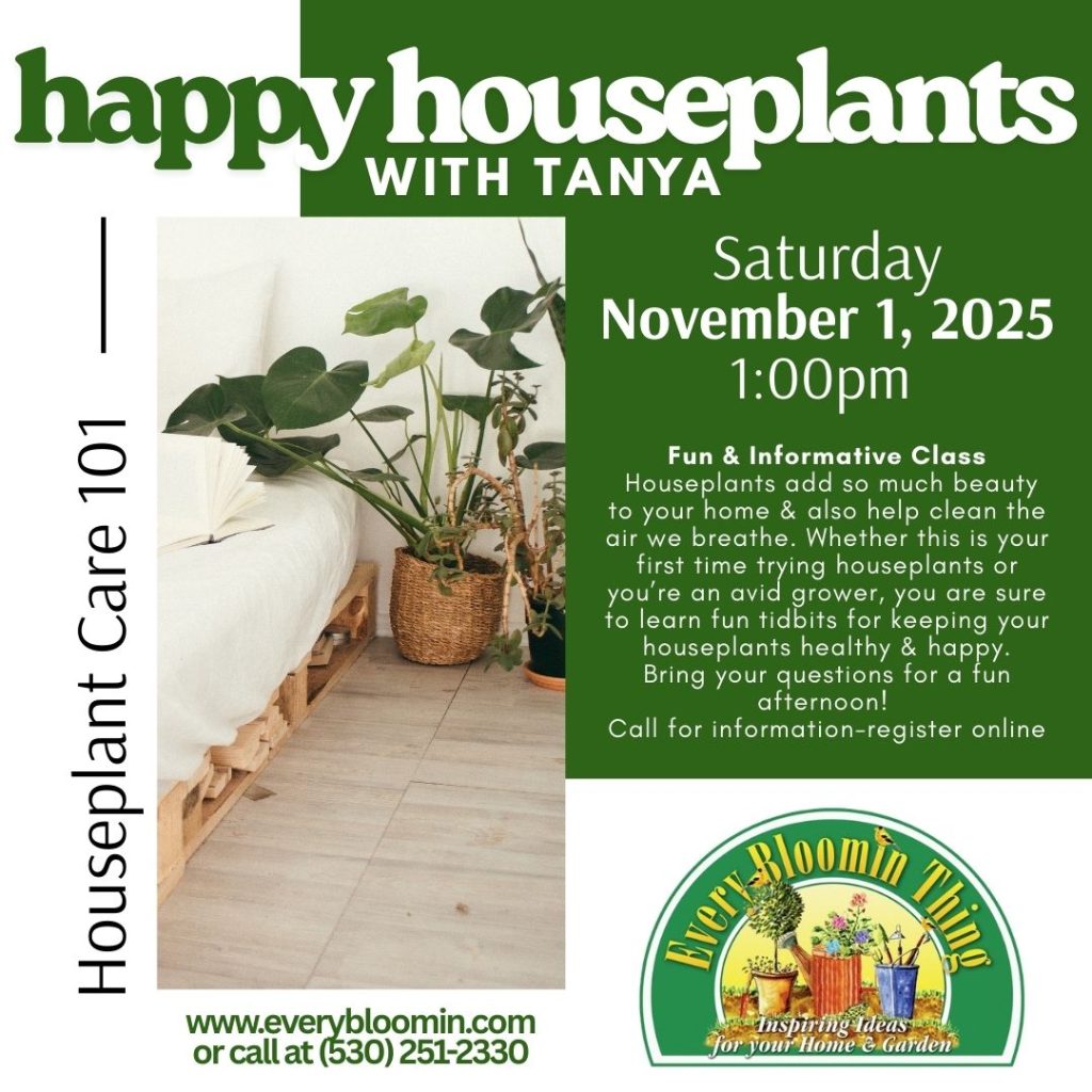 Happy Houseplants with Tanya